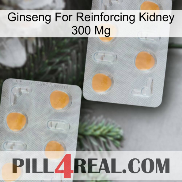 Ginseng For Reinforcing Kidney 300 Mg 25.jpg